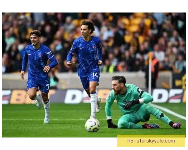 希勒感慨帕尔默需特殊管理伤病